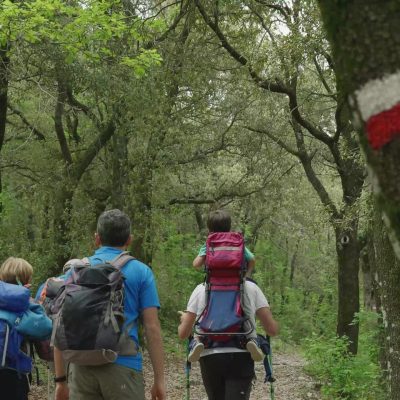 Trekking