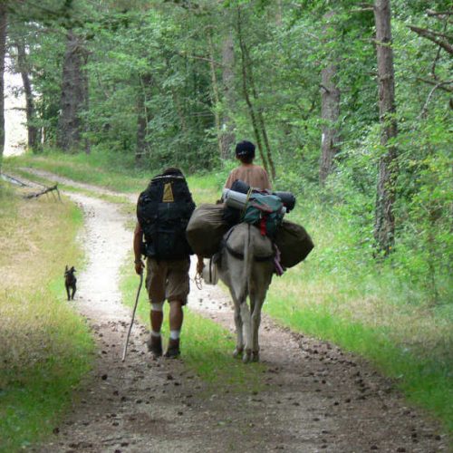 Hiking with donkey