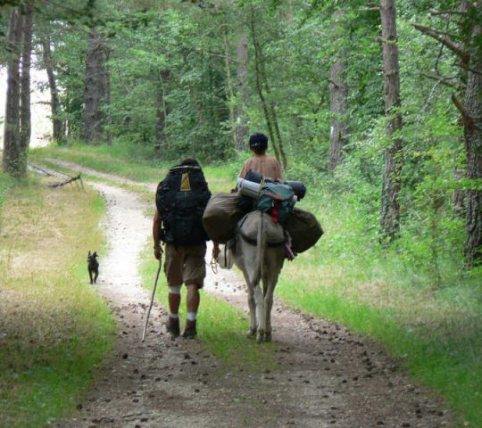 Hiking with donkey