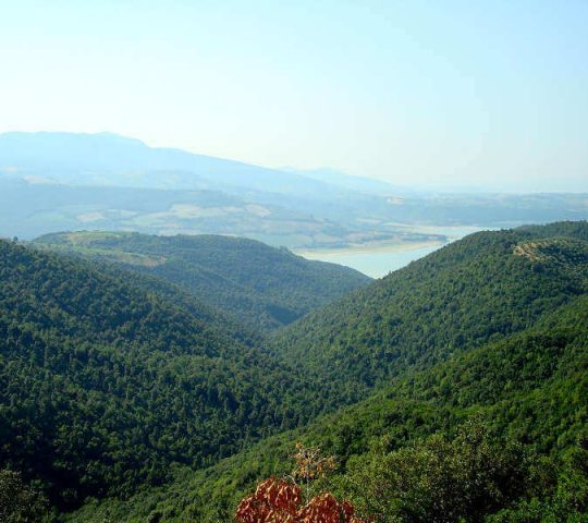 Monte Peglia