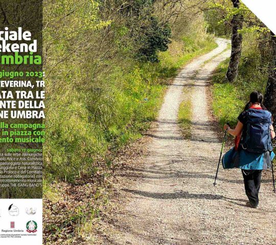 Passeggiata tra le erbe e piante della tradizione umbra – 17 giugno 2023