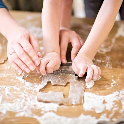 Hands-on at the Farm