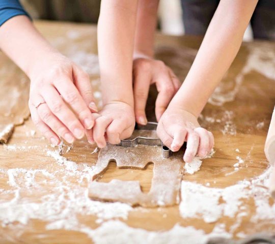 Hands-on at the Farm