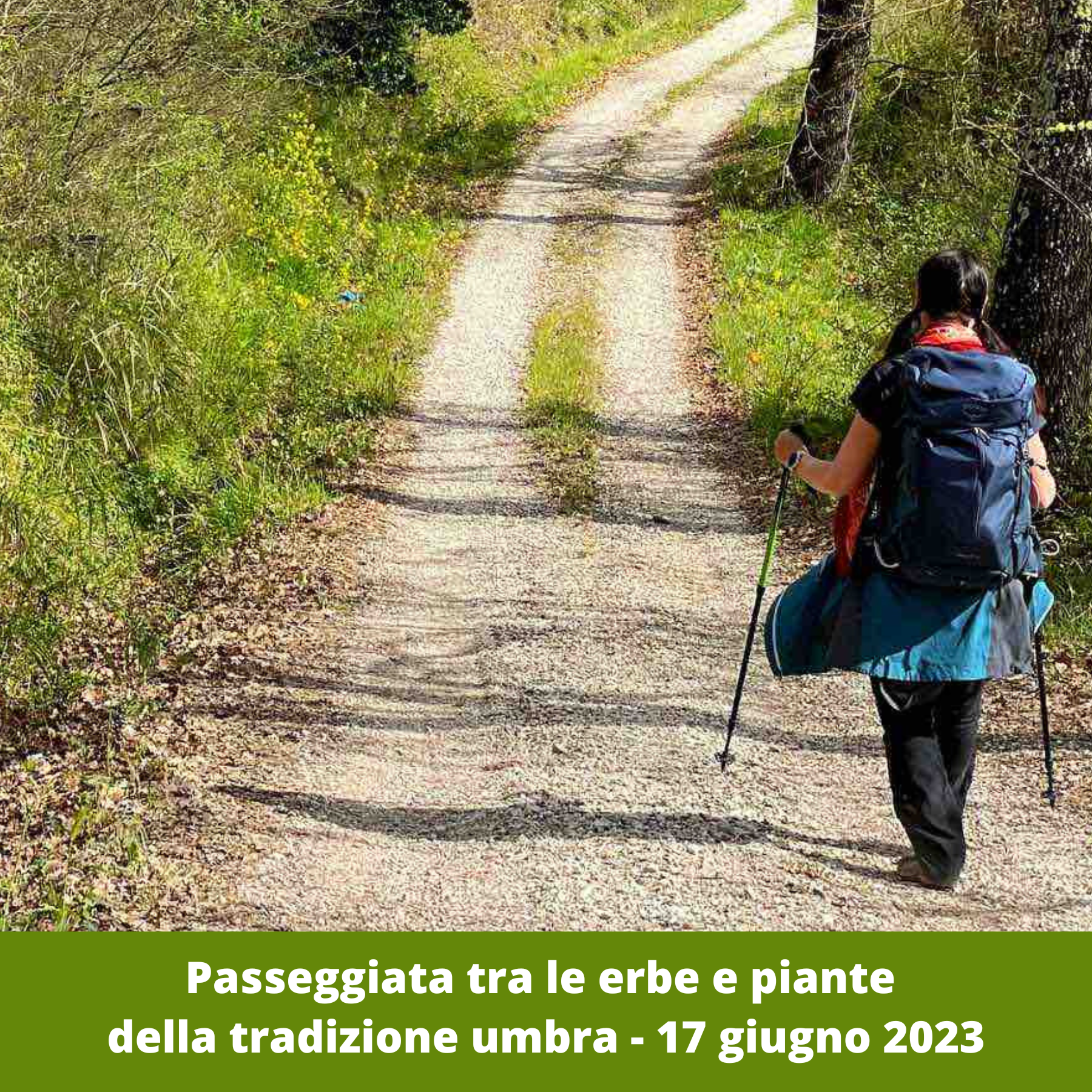 Passeggiata tra le erbe e piante della tradizione umbra – 17 giugno 2023