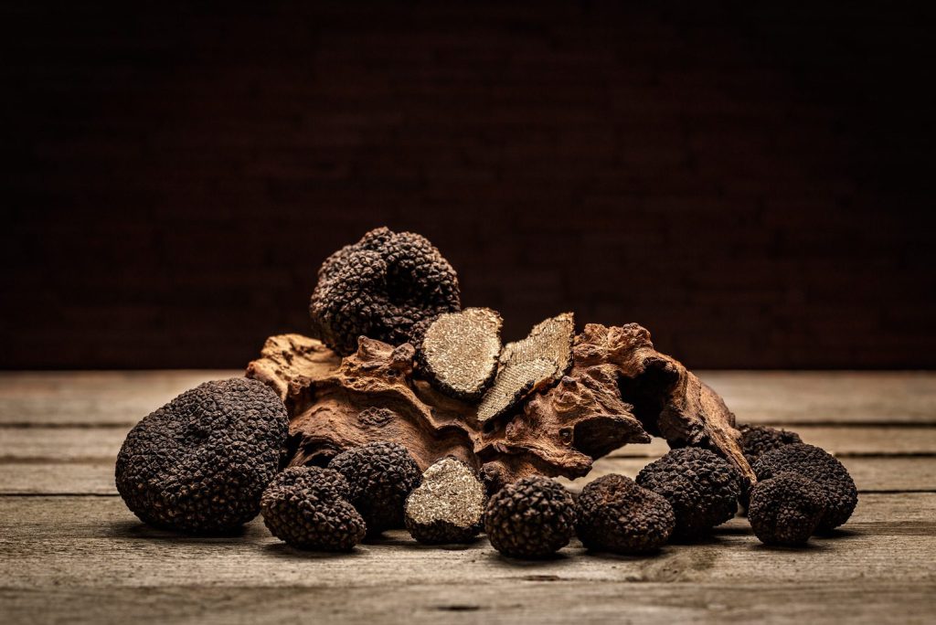 The journey of flavors: between earth, fire, air and water