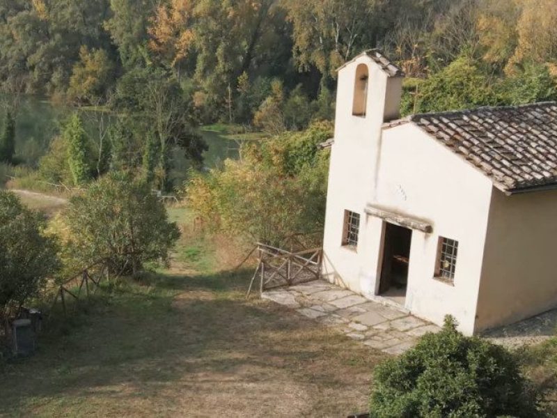vittore-1024x498